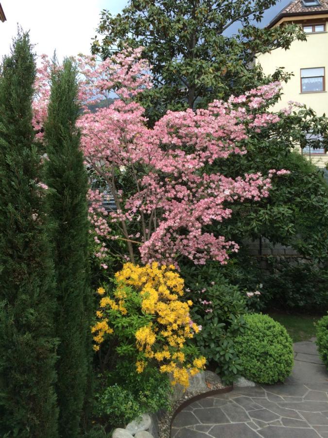 Pension Hauenstein 라군도 외부 사진